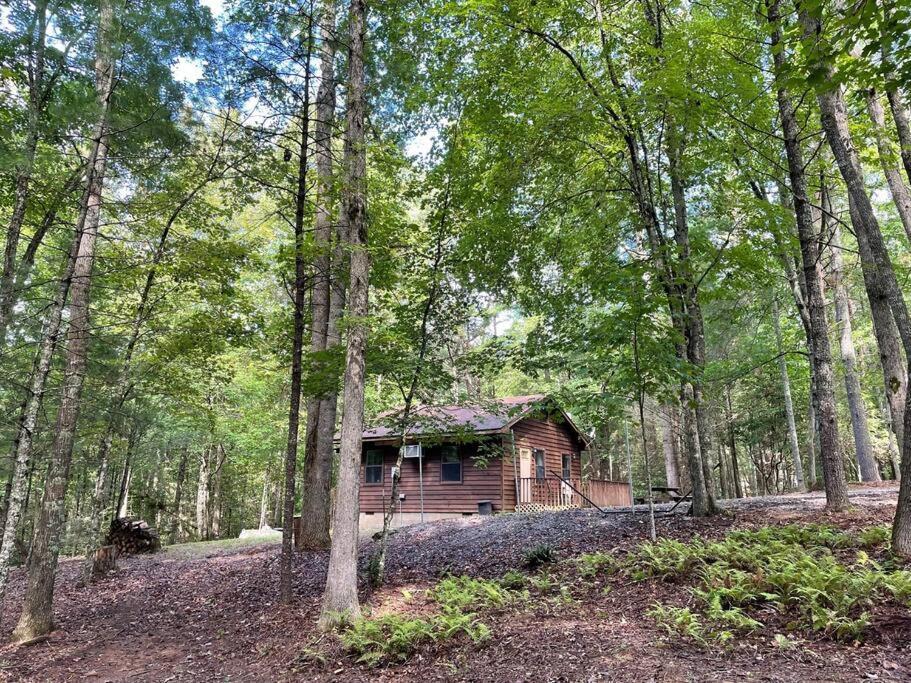 Private Cozy Cabin In The Woods With Great View Murphy Exterior foto